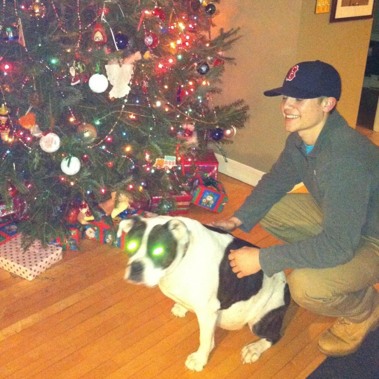 MattyPfor3's profile picture. This is a Parody Account (Just for fun). No affiliation with the real Matty Pierce™