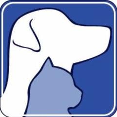 Desde 1969 atua na saúde animal em diversas especialidades, e é considerado referência nacional pela Veja e Estadão.