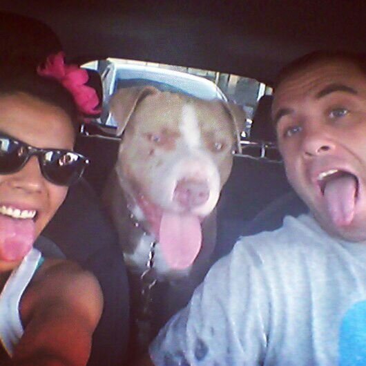 Santiago Camerlinckx