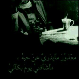 annie28557's profile picture. I like to visit beautiful places, eat delicious food, and go camping.