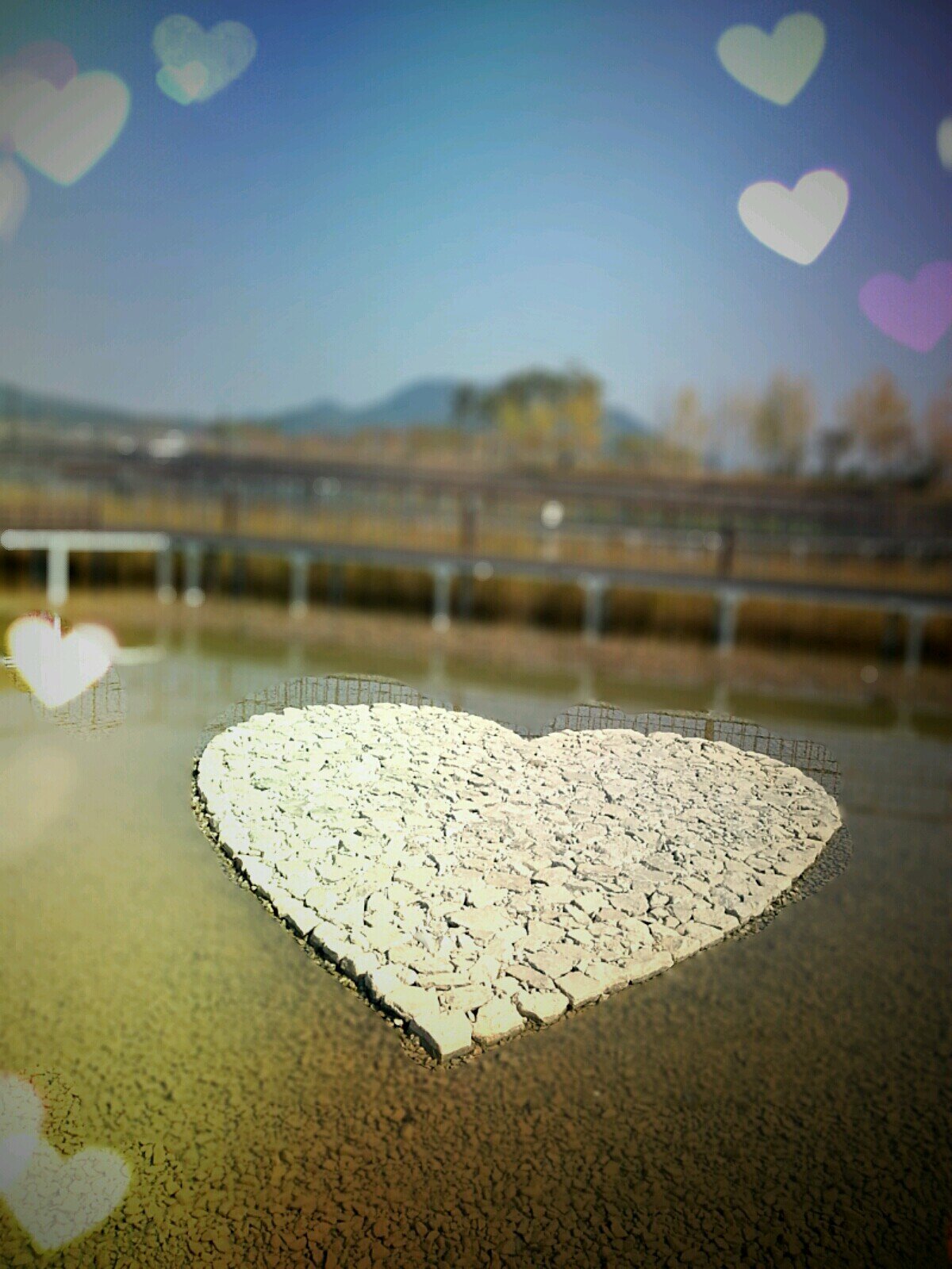 후리다
