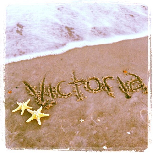 vikncook's profile picture. 