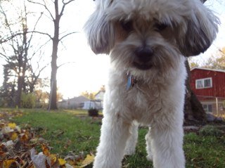 jwagner67's profile picture. 