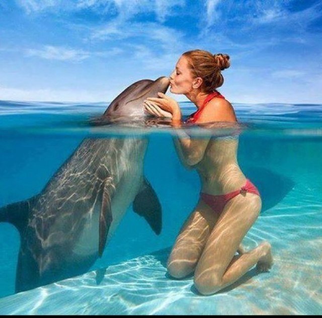 SpringhillsRP's profile picture. Acadamy right on the beach! Crazy but possible! Everyone gets their own beach house that they share with one other person. Classrooms in different beach houses!