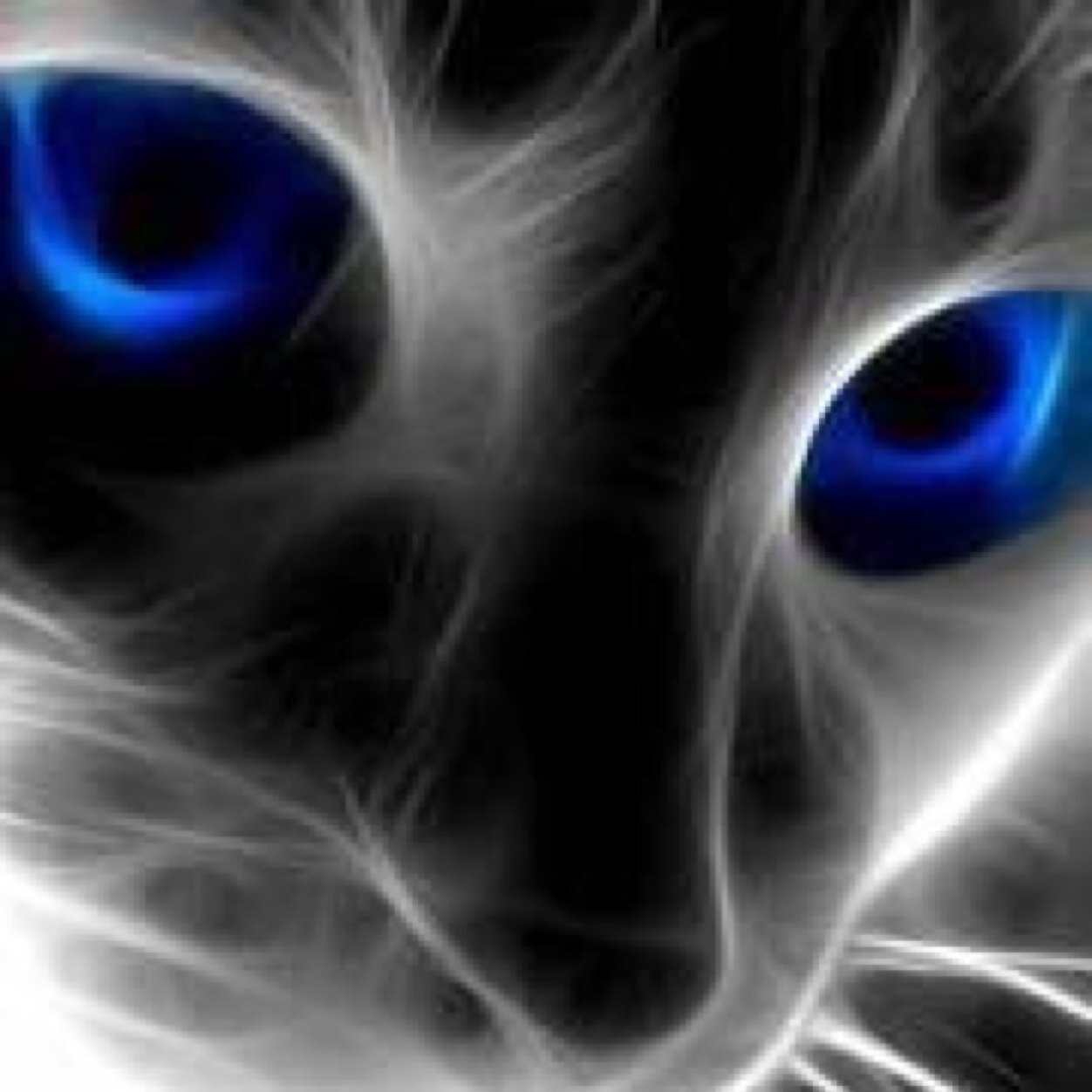 diazalexander70's profile picture. 