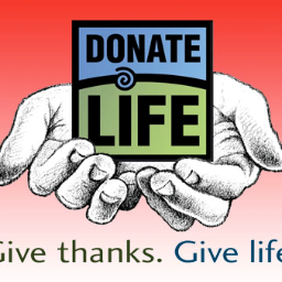 An organ donor has the potential to save 8 lives and enhance the lives of 50 others