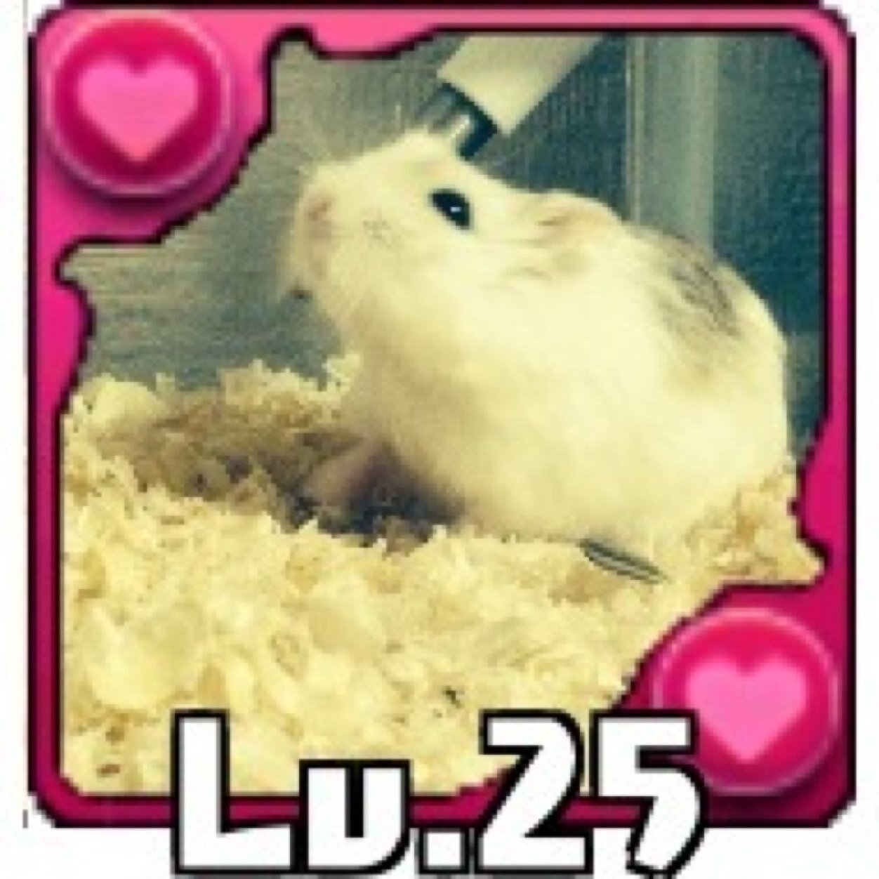 panmani777 Profile Picture