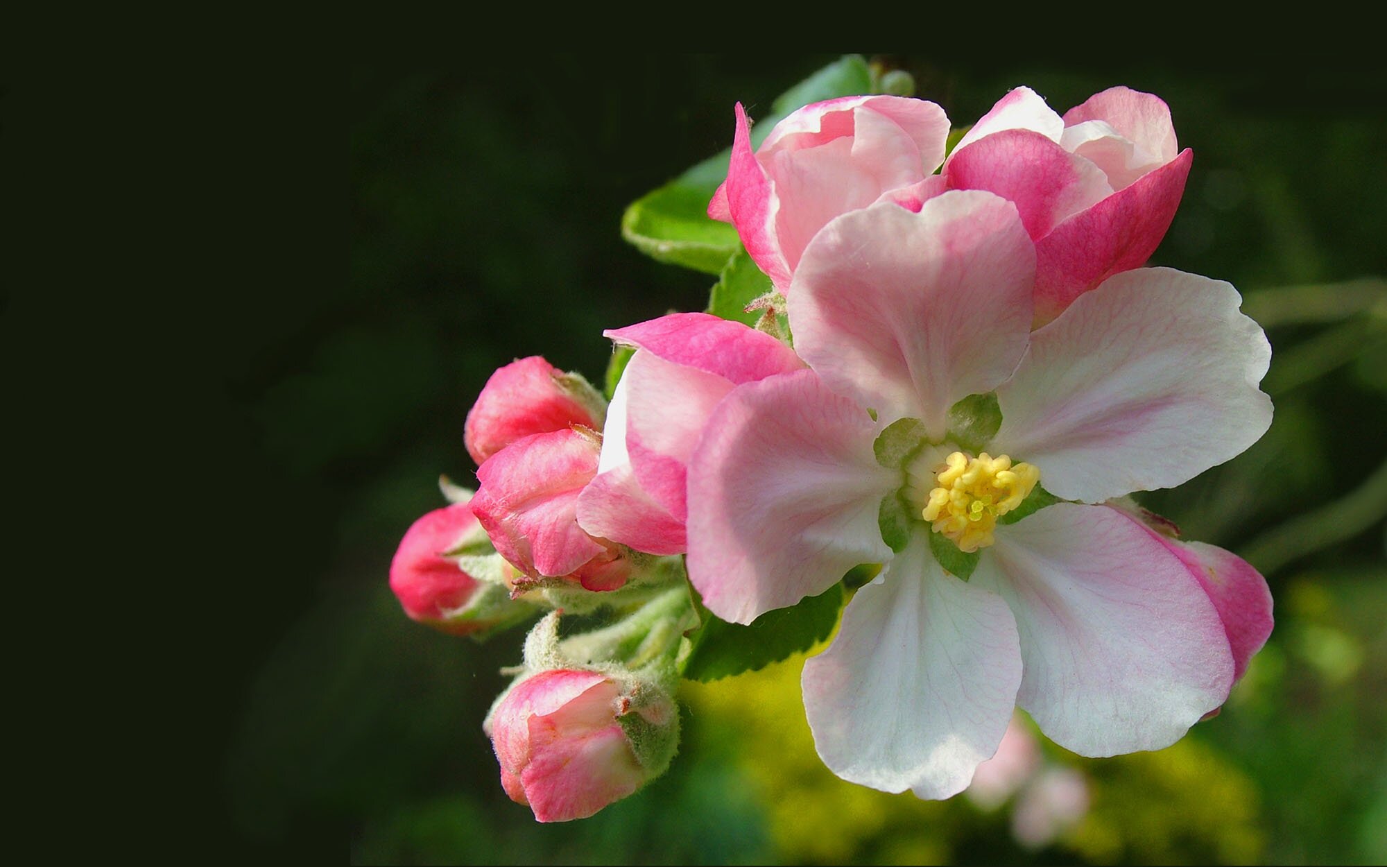 kimup4250's profile picture. 