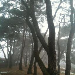 그냥 대화해요.