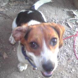 barsyalu's profile picture. 保育・産後ケア現場のSIDS予防・対応方法等、お伝えさせて頂いております。また、保育者向け保育睡眠中の突然死予防プログラム(https://t.co/yFJor4Uk6i)を伊東氏、森氏とお伝えさせて頂いております。
（プログラムは上記HP「お知らせ」に掲載されております）