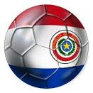 Todo sobre el torneo local e internacional, los preparativos para el mundial brasil 2014, y fichajes para la proxima temporada del torneo local e internacional