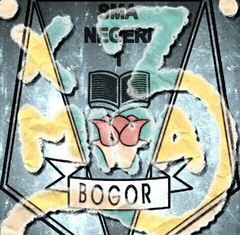 X-M3N------X MIPA 3 2013-2014