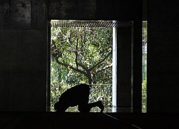 Hanya ingin Berbicara! Buat kamu, kamu, atau kamu!!!