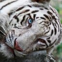 André Scherer - @AndreSchere94 - Twitter