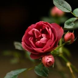 hi, i am Ranjan