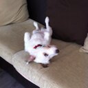 Thomas Berardi - @ThomasToma13500 - Twitter