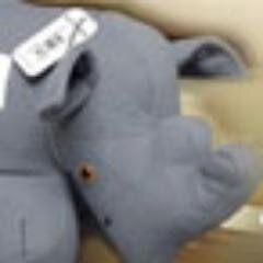 rhinorory's profile picture. Tiny ambassador working to raise awareness to help save our #rhinos with the @TheEWT and @capeunionmart.