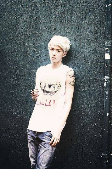 Hi im !# get it? I'm an EXOTICS
I Ship HunHan Couple very much! I'm from Malysia!
Follow me? Thanks! I'll follow you back xD