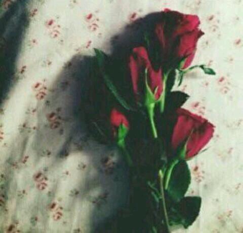 طُآلُبْہ جٍآمعٍيَہ عٍمرٍيَ 21ۆآلُعٍمرٍ گلُہ يَآ آآنْآĐ:
آدِرٍس بْجٍآمعٍة آلُرٍآگہ تٌخـصٍصٍ/إدِآرٍة أعٍمآلُ ۆمآ تٌۆفَيَقيَ إلُآ بْآلُلُہ
