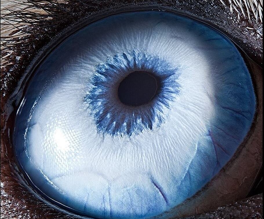 ShutFormula5's profile picture. 