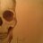 HerrManche's profile image