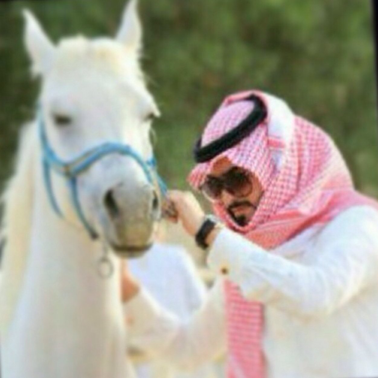 مـا رضـيـنـا بـالبـُعـد لـكـن تـعـودنـا