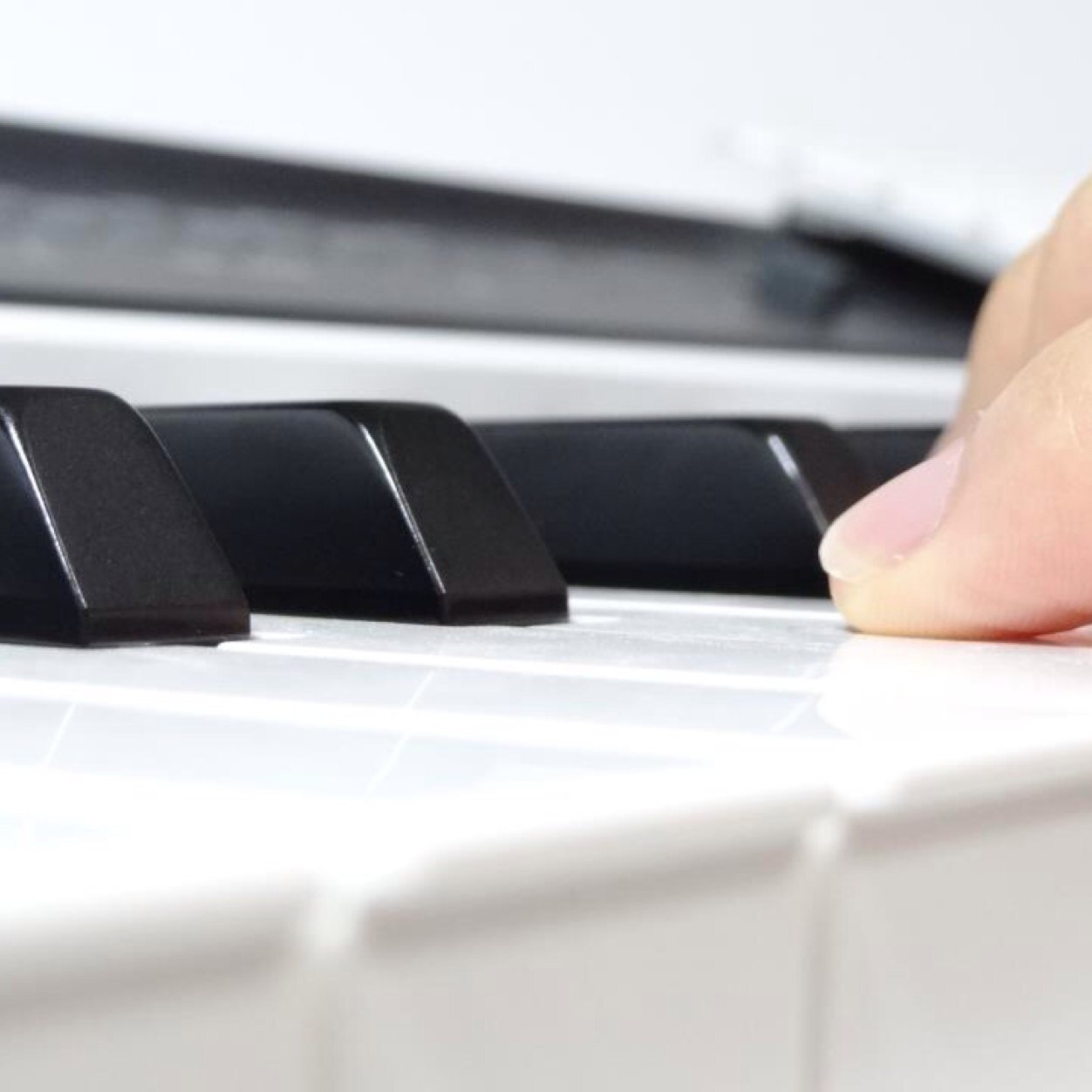 componaoki's profile picture. Composer // METAL GEAR SOLIDΔ : SNAKE EATER / Castlevania / eFootball / PAWAPURO