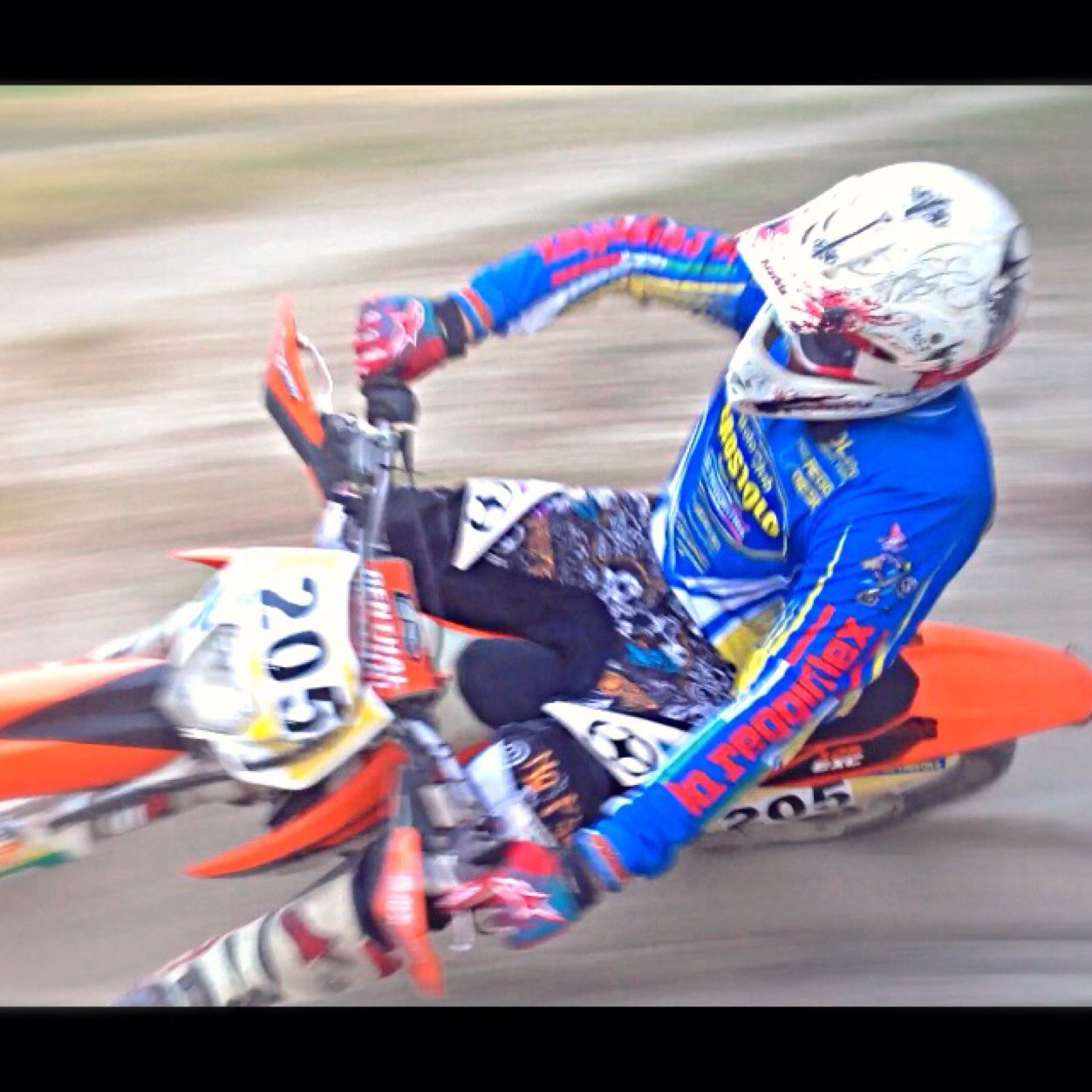 GrisantiTomas's profile picture. 