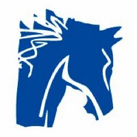 Haras d'Etreham (@haras_d_etreham) 's Twitter Profile