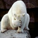 بكر الشهري (@0544313643) Twitter
