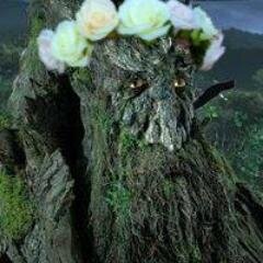 ActualTreebeard's profile picture. I'm treemendous. Hroom.