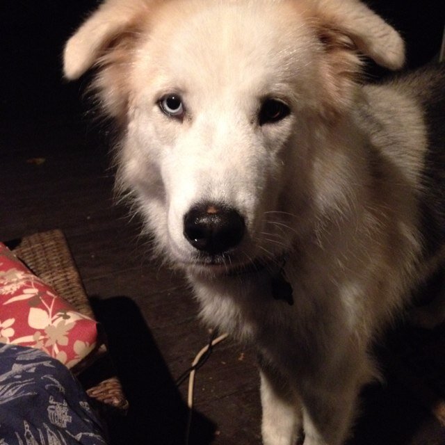 HyDorfman's profile picture. 