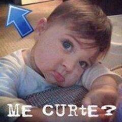 SEGUIR @zuerinha_