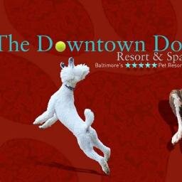 WE ARE BALTIMORE'S NUMBER ONE PET RESORT AND DAYCARE. COME BY FOR A TOUR!!!