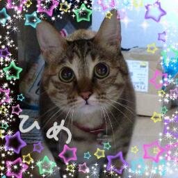 永遠のKAMILIA