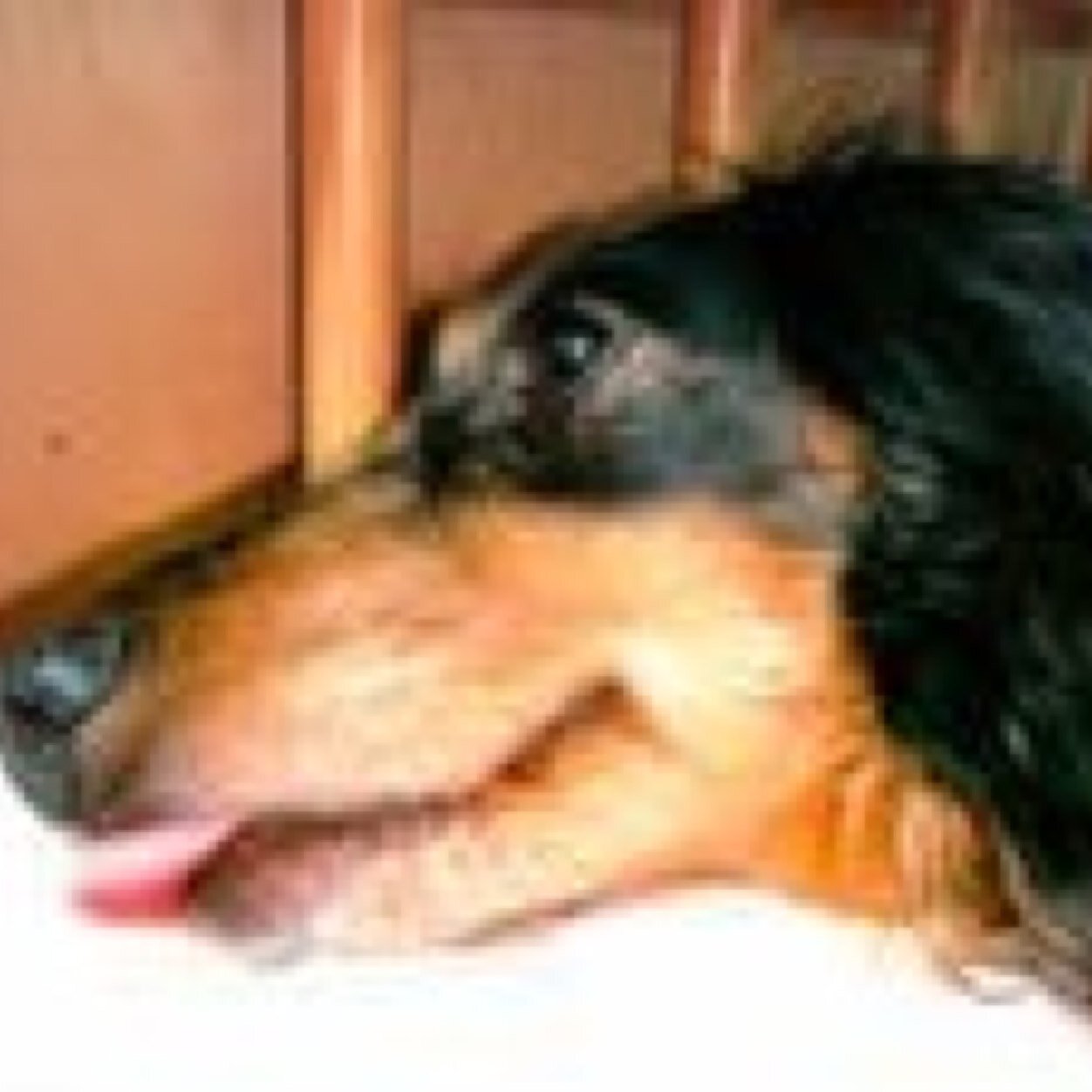 hidetaka_o's profile picture. 旅好きクリエーター(^^)
CBR150Rでキャンプツーリング⛺ 
フォロー歓迎(^-^)/