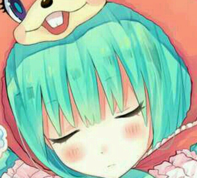 フォロバしてもしなくてもいいよ