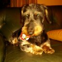 Michael Fragnito - @Whitebridge123 - Twitter