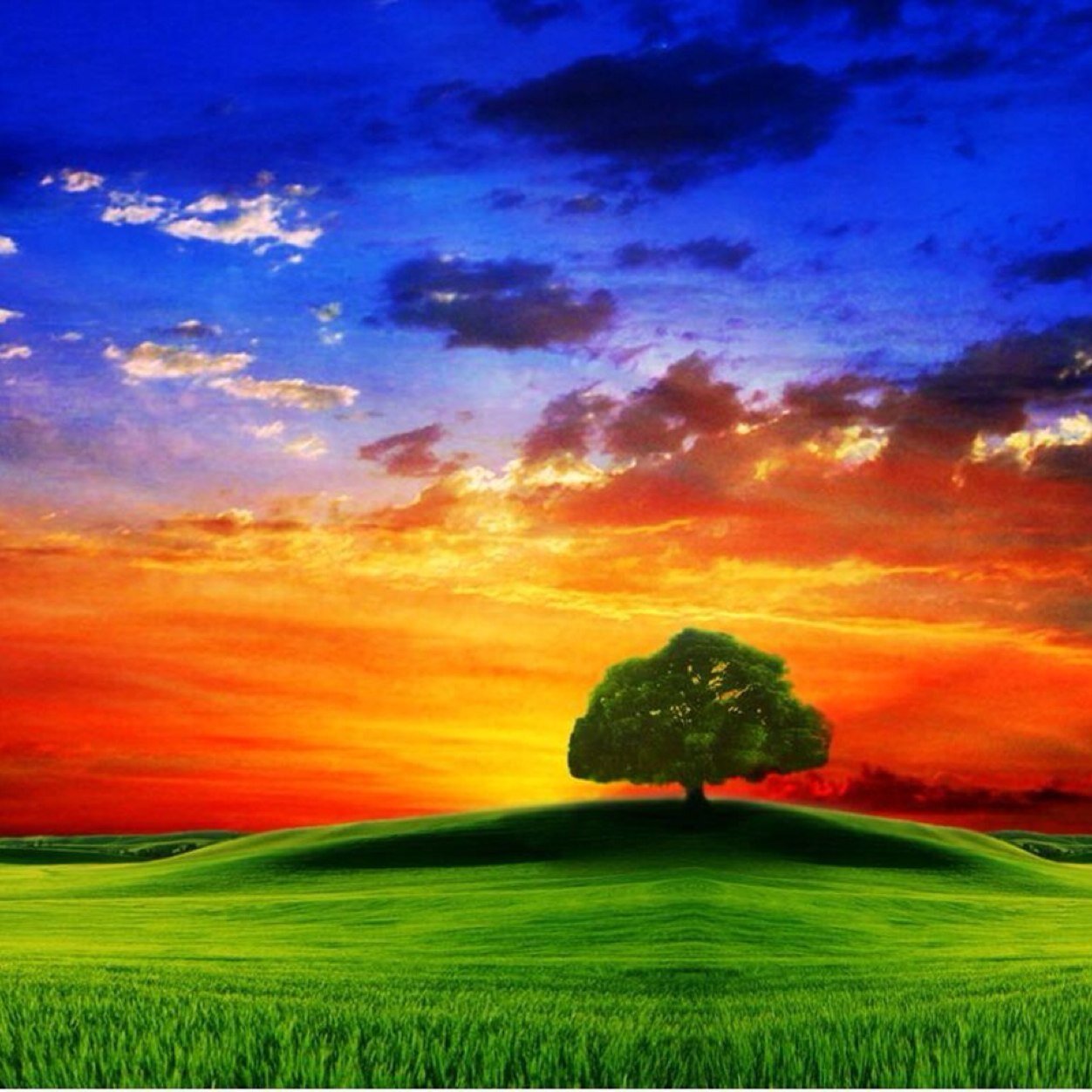 AmazingPIacess's profile picture. All photos are not mine. Credit goes to the origional photographer.