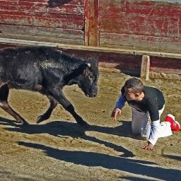 Pasion por los toros