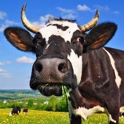 Rumen pan-metagenome research community resource.