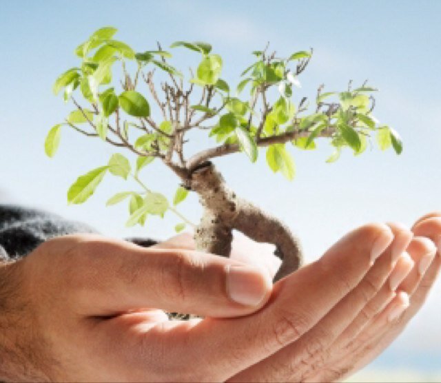 Dr_H_AlMenaie's profile picture. Research Scientist.