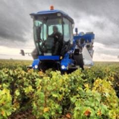 Découvrez le vignoble du Pouilly Fumé et la Réserve Naturelle du Val de Loire sur http://t.co/X6irb8gGiZ /Suivez-nous aussi sur http://t.co/5TaR9MDJ0P