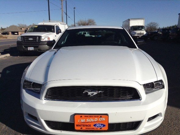 Local Ford dealership give us a call at 806-364-1919