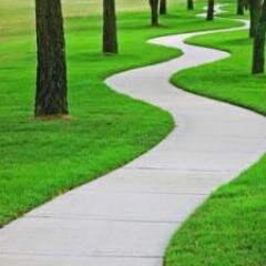 STEM Pathways Profile
