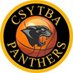 Carol Stream Panthers Basketball (@csytba) Twitter profile photo Carol Stream Panthers Basketball (@csytba) Twitter profile photo
