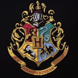 Are you a true Slytherin, Hufflepuff, Gryffindor or Ravenclaw?