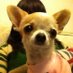 三牛 (@lihongtao61) Twitter profile photo