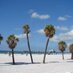 Tampa Live (@tampa_live) Twitter profile photo