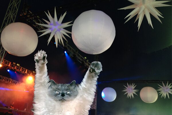 MelvanMullen's profile picture. 